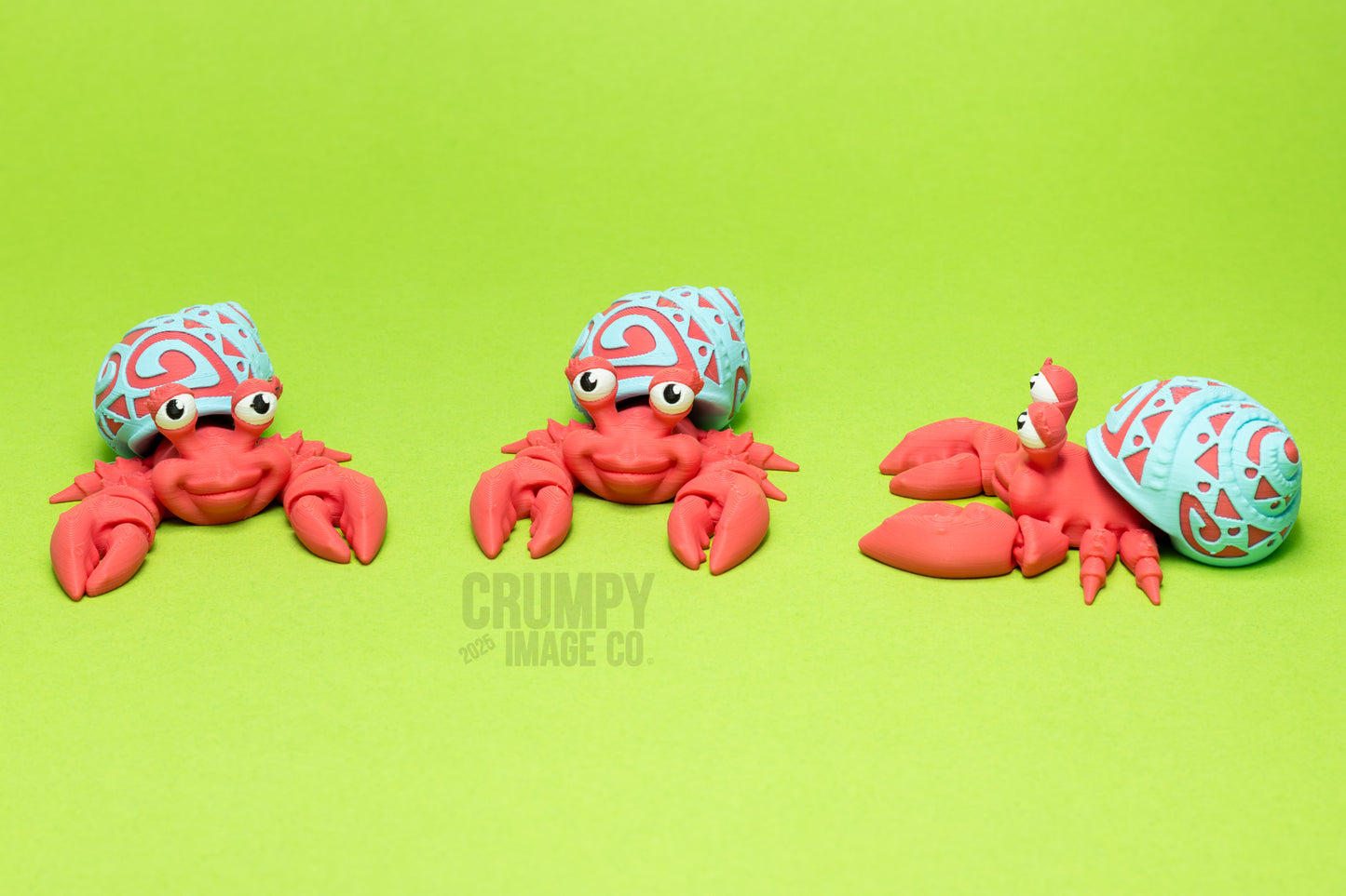 Flexi Tattooed Hermit Crab