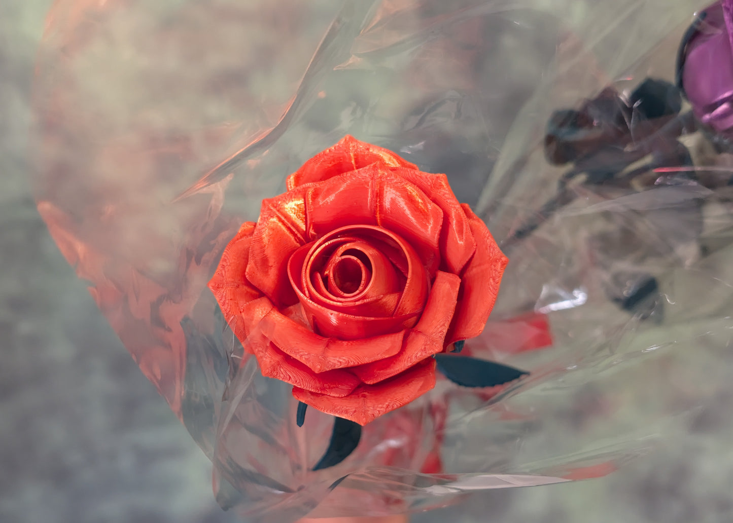 Forever Roses