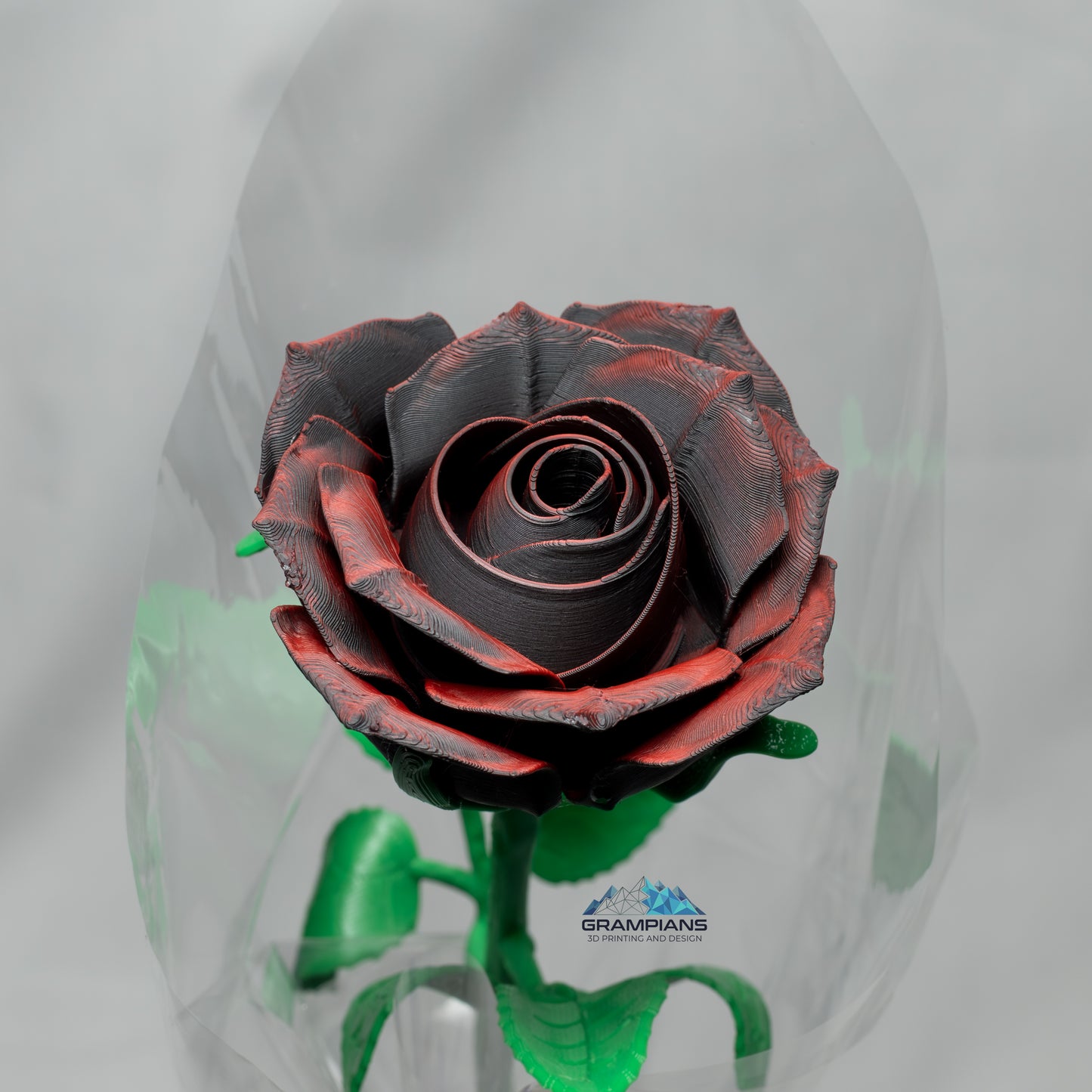 Forever Roses