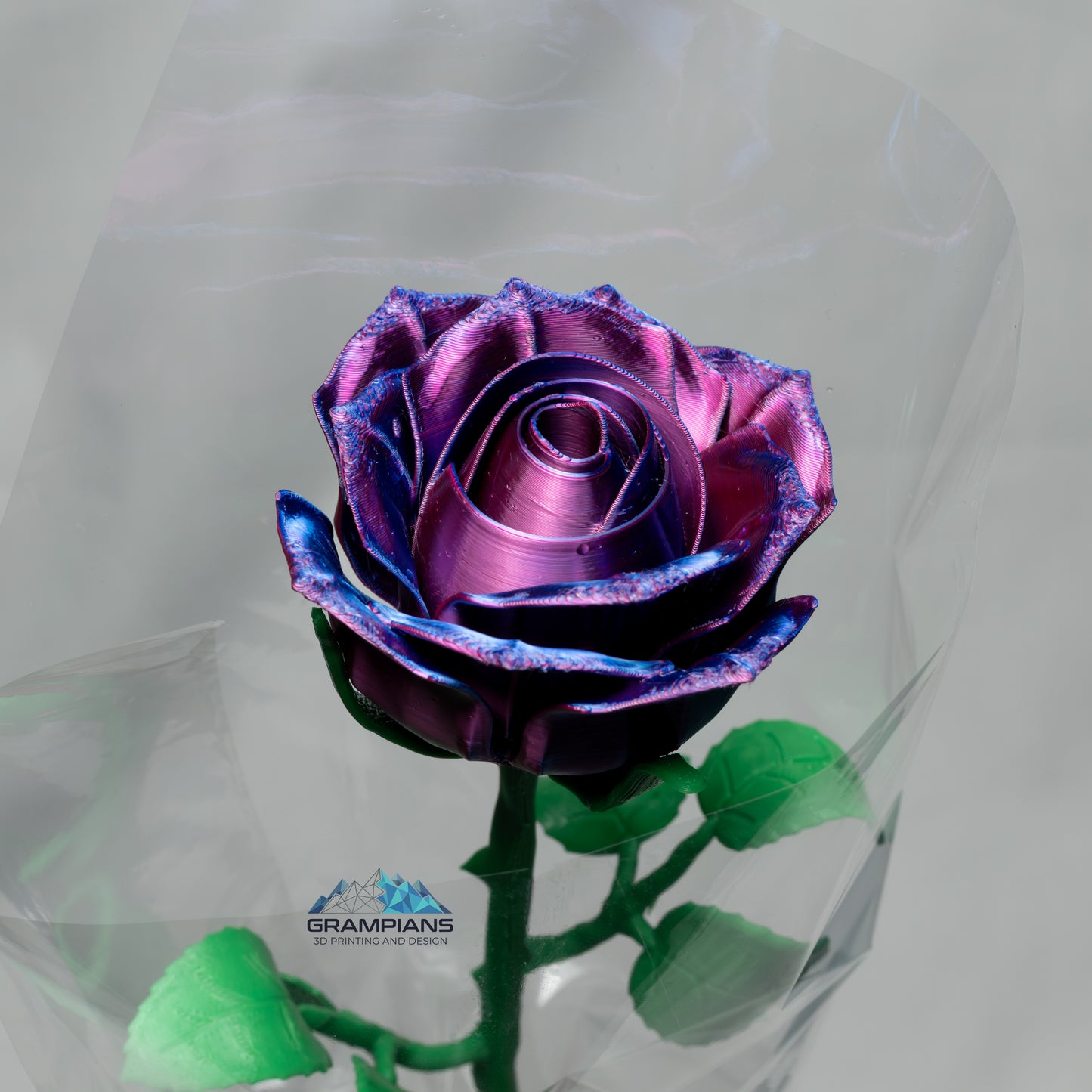 Forever Roses